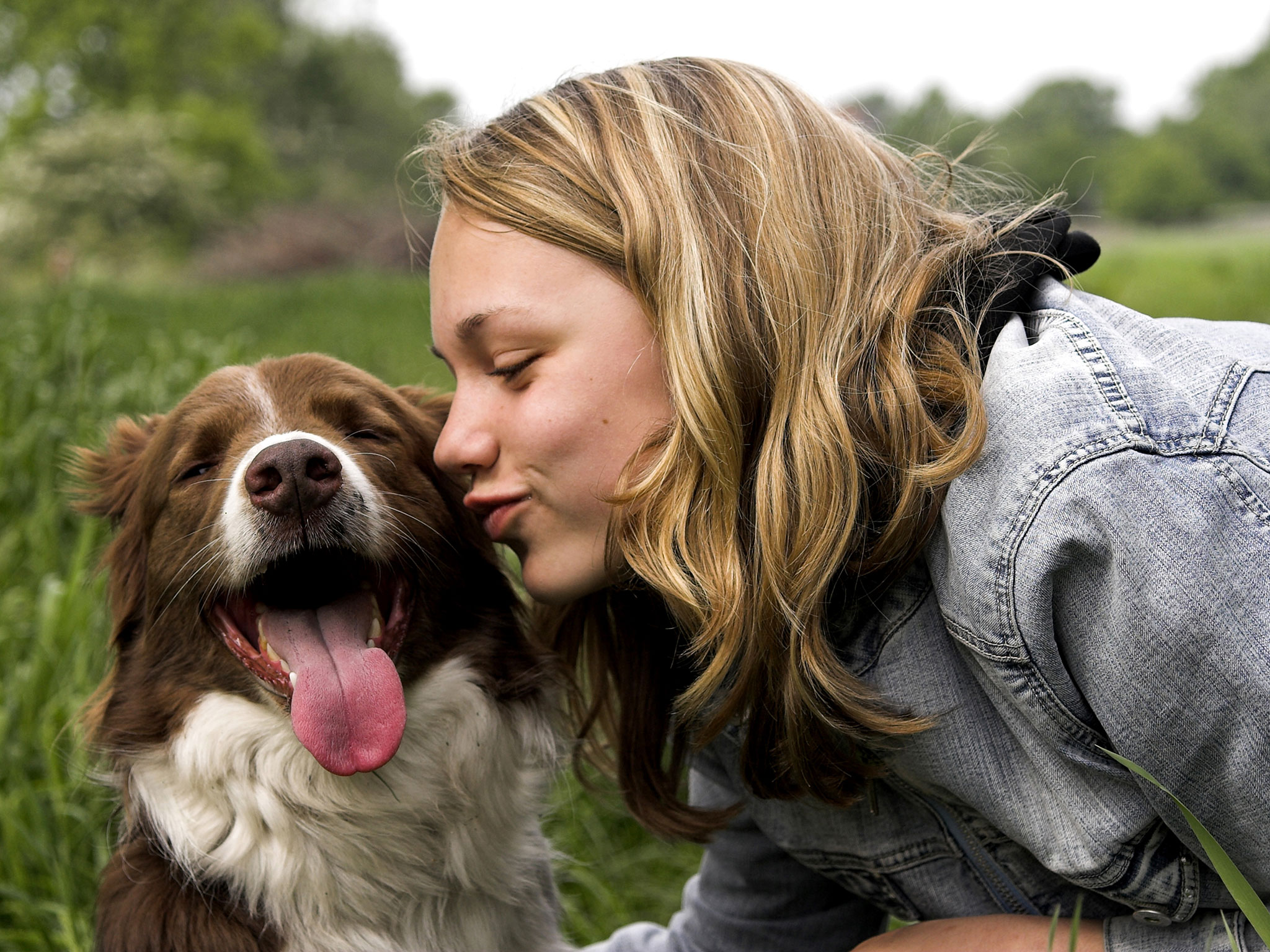 Dog-kiss Kutyapuszi-nem is gondolnád milyen veszélyes!